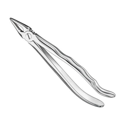 Extracting forceps, anat., size 29