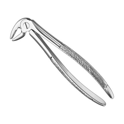 Extracting forceps, engl. patt., size 13