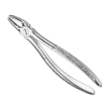 Extracting forceps, engl. patt., size 7