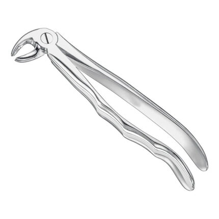 Extracting forceps, anat., size 24