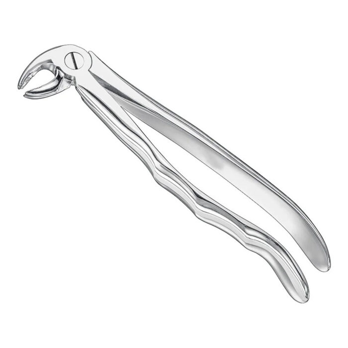 Extracting forceps, anat., size 24