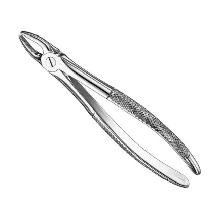 Extracting forceps, engl. patt., size 2