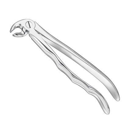 Extracting forceps, anat., size 23