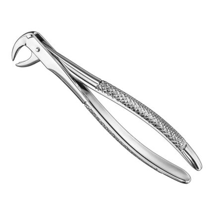Extracting forceps, engl. patt., size 99