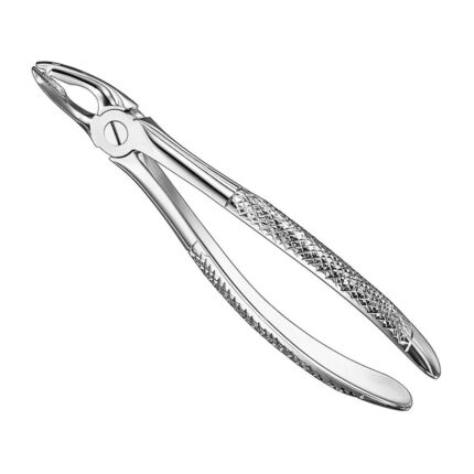 Extracting forceps, engl. patt., size 35