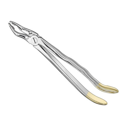 Extracting forceps, anat., size31, diamond