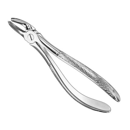 Extracting forceps, engl. patt., size 39R