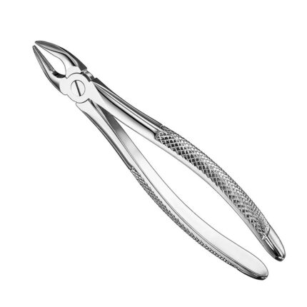 Extracting forceps, engl. patt., size 34 N