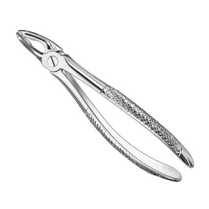 Extracting forceps, engl. patt., size 35