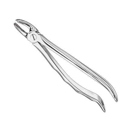 Extracting forceps, anat., size 18