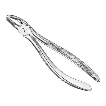 Extracting forceps, engl. patt., size 39L
