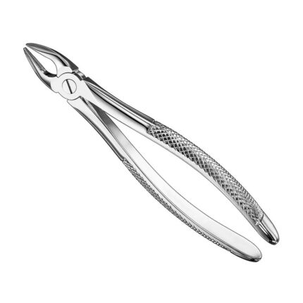 Extracting forceps, engl. patt., size 34 N