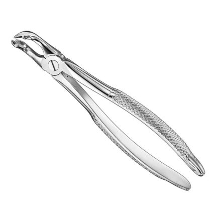 Extracting forceps, engl. patt., size 79C