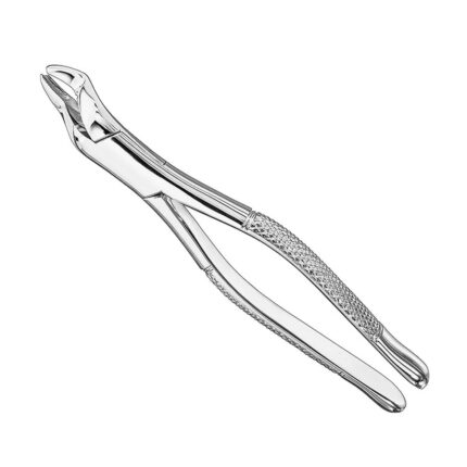 Extracting forceps, american patt., sz.53R