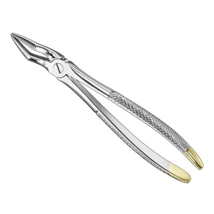 Extracting forceps, engl., sz.51A, diamond