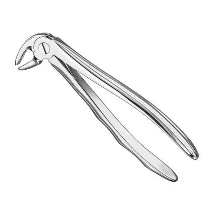Extracting forceps, anat., size 13 S