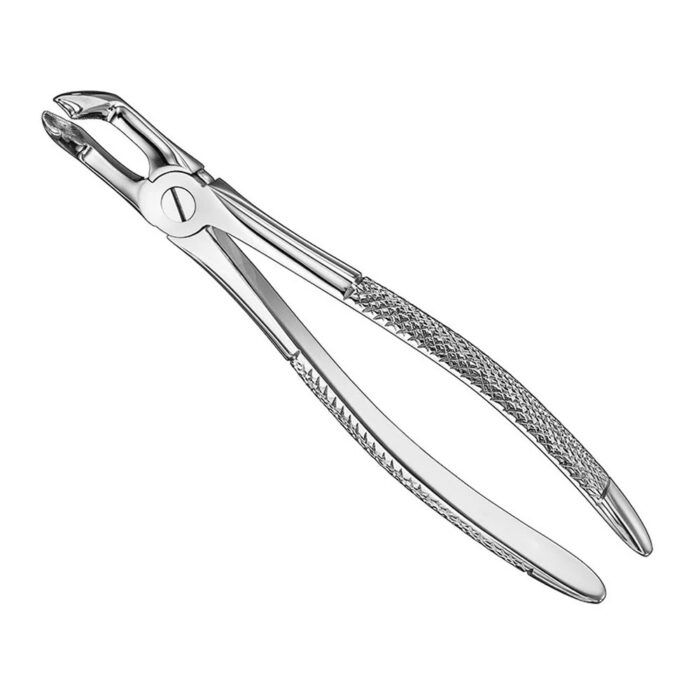 Extracting forceps, engl. patt., size 79A