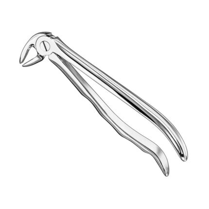 Extracting forceps, anat., size 13 A