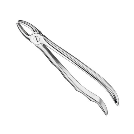 Extracting forceps, anat., size 1