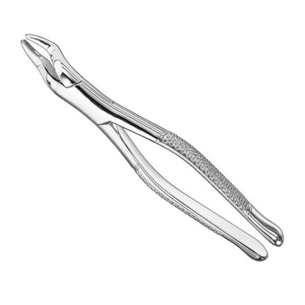 Extracting forceps, american patt., sz.53L