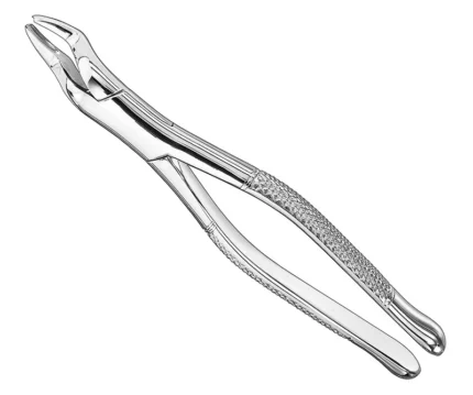 Extracting forceps, american patt., sz.53L