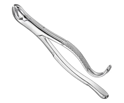 Extracting forceps, american patt., sz.24