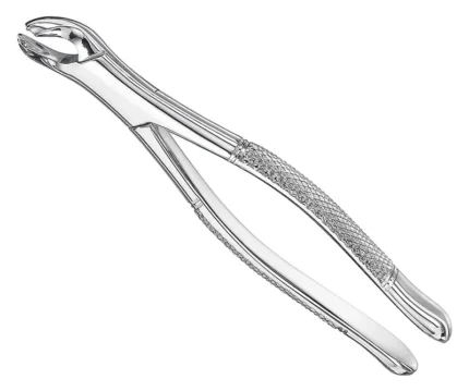 Extracting forceps, american patt., sz.17