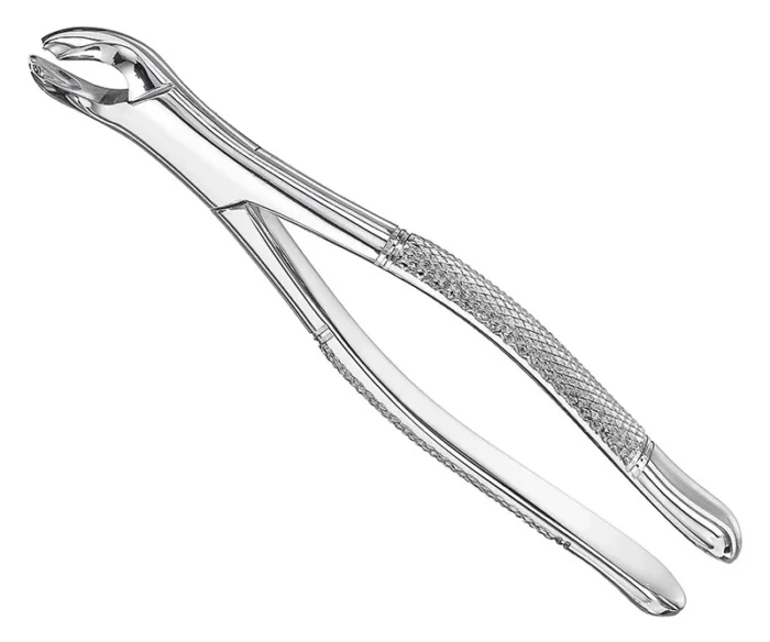 Extracting forceps, american patt., sz.17