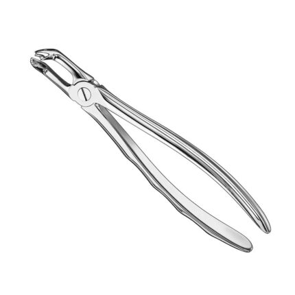 Extracting forceps, anat., size 79