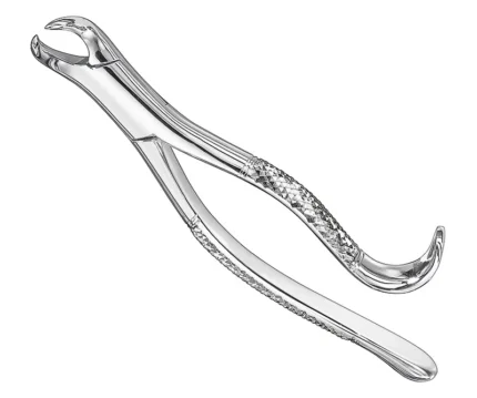 Extracting forceps, american patt., sz.16
