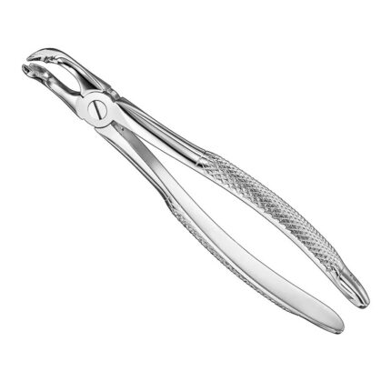 Extracting forceps, engl. patt., size 79C