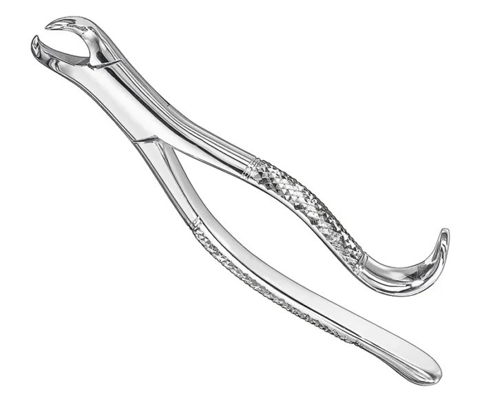 Extracting forceps, american patt., sz.16