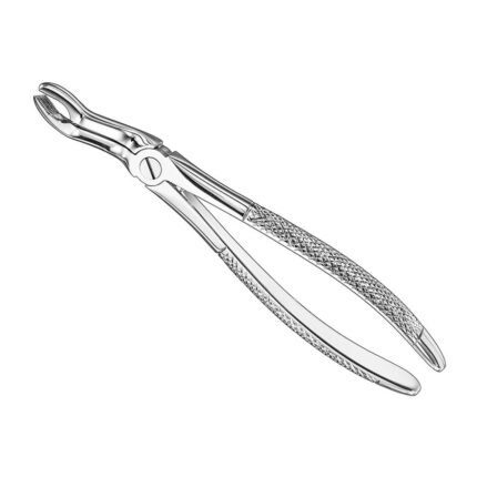 Extracting forceps, engl. patt., size 67