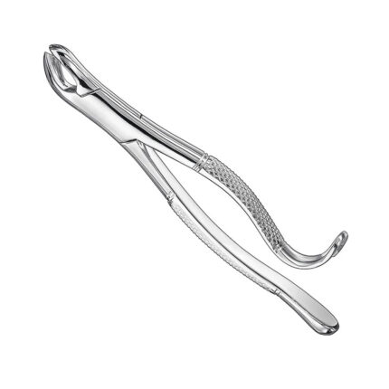 Extracting forceps, american patt., sz.24