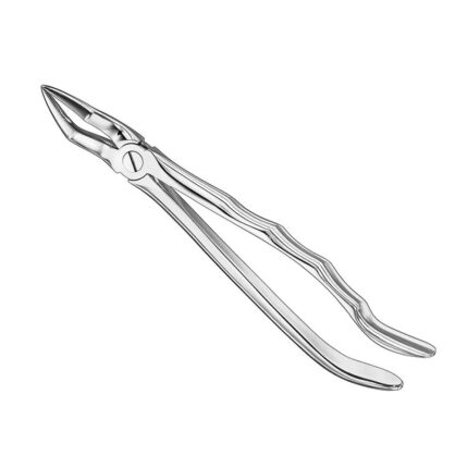 Extracting forceps, anat., sz.51A, nonslip