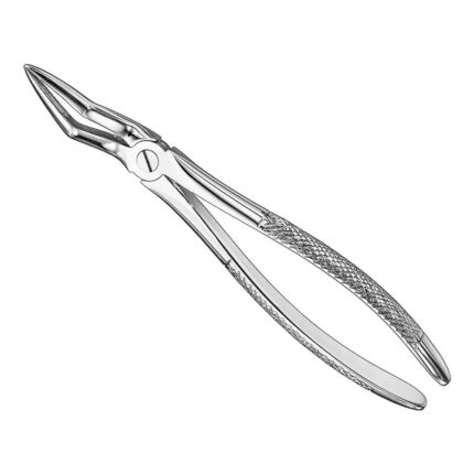 Extracting forceps, engl. patt., size 51L