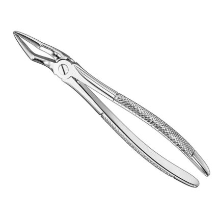 Extracting forceps, engl. patt., size 51A