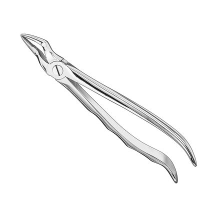 Extracting forceps, anat., sz.51, nonslip