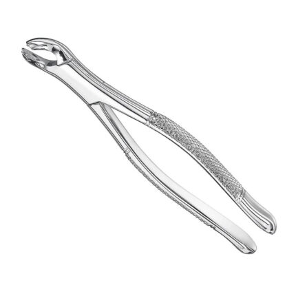 Extracting forceps, american patt., sz.17