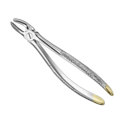 Extracting forceps, engl., size 17, diamon