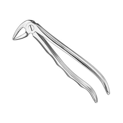Extracting forceps, anat., sz.33L, nonslip