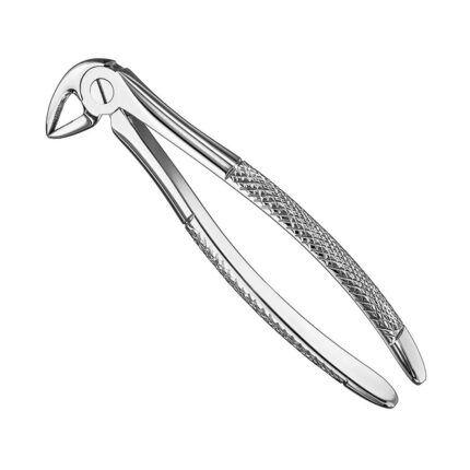 Extracting forceps, engl. patt., size 33A
