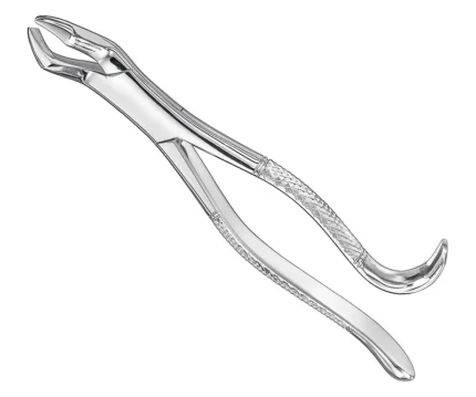 Extracting forceps, american patt., sz.10H