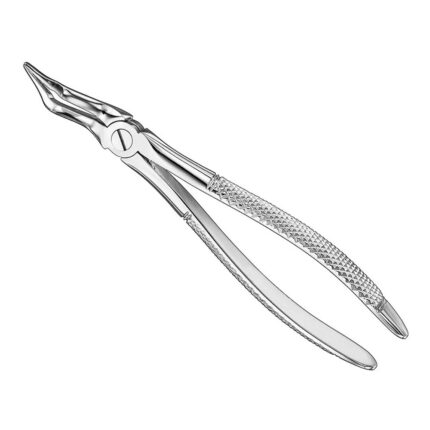 Extracting forceps, engl. patt., size 351S