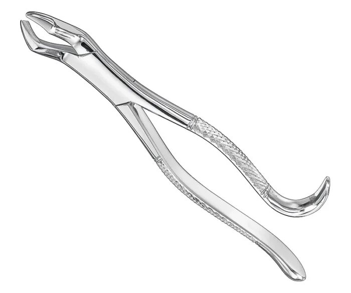 Extracting forceps, american patt., sz.10H
